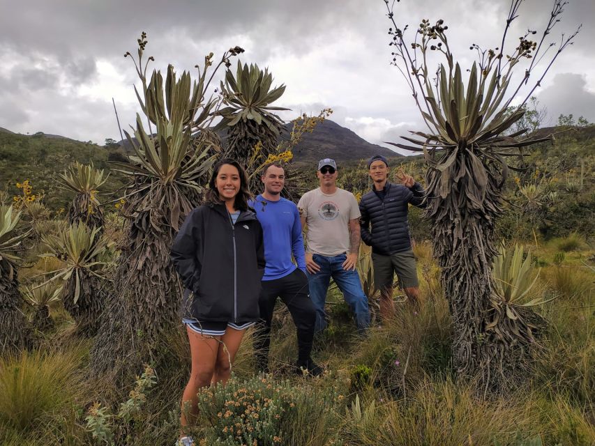 Bogotá: Guided 5-Hour Coffee Farm Tour - Review Summary and Highlights