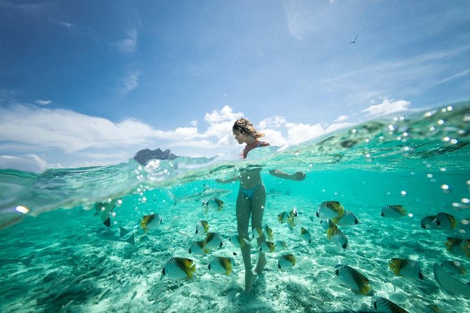 Bora Bora Eco Snorkel Cruise Including Snorkeling With Sharks and Stingrays - Last Words