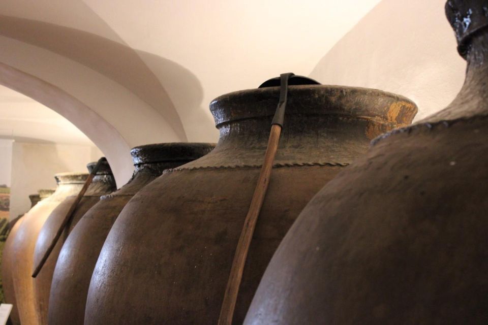 Borba: Amphora Wine Experience - Rézios Family Winery Visit