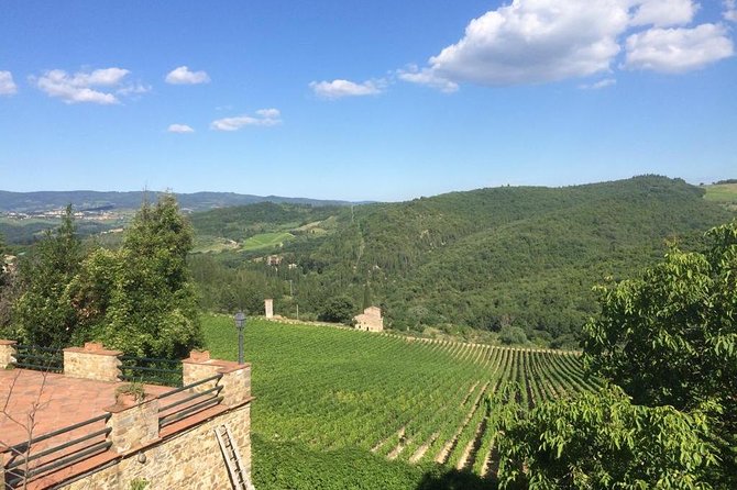 Brunello and Montepulciano Wine Tour From Cortona - Traveler Reviews