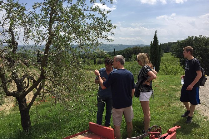 Brunello Di Montalcino, Small Biodynamic Wineries - Pricing and Booking Information