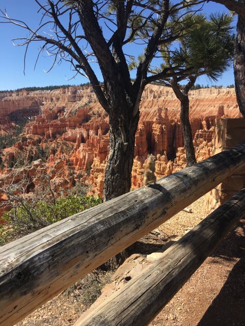 Bryce Canyon National Park: Guided E-Bike Tour - Directions to Bryce Canyon National Park