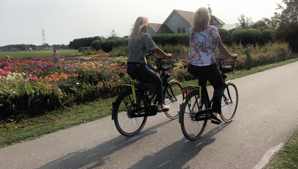 Bulb Region: Dahlias and Mills Bicycle Tour - Itinerary Overview