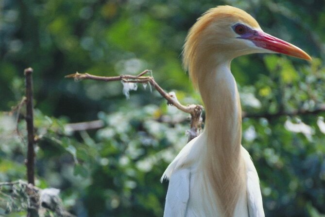 Bundala National Park by Ajith Safari - Last Words