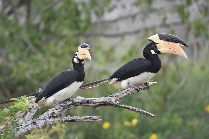 Bundala National Park Small-Group Half-Day Tour  - Yala National Park - Directions