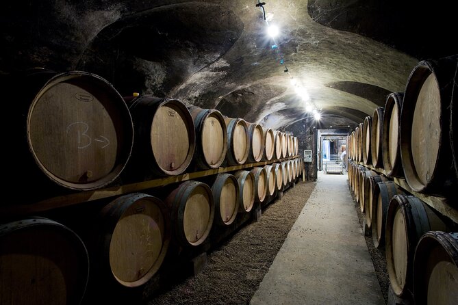 BURGUNDY : Wine Tasting & Visits- Private Day Trip From Paris