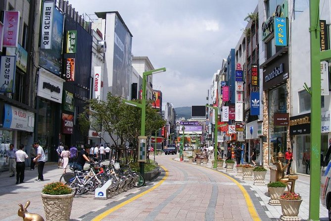 Busan Day Trip Including Gamcheon Culture Village From Seoul by KTX Train - Traveler Testimonials