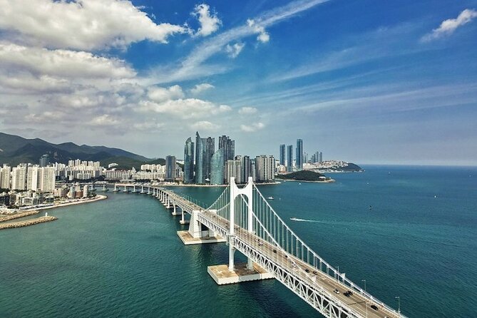 Busan Full-Day Private Tour via the KTX Train From Seoul - Customer Reviews