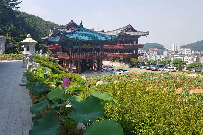 Busan Tour With Gamcheon Culture Village - Last Words