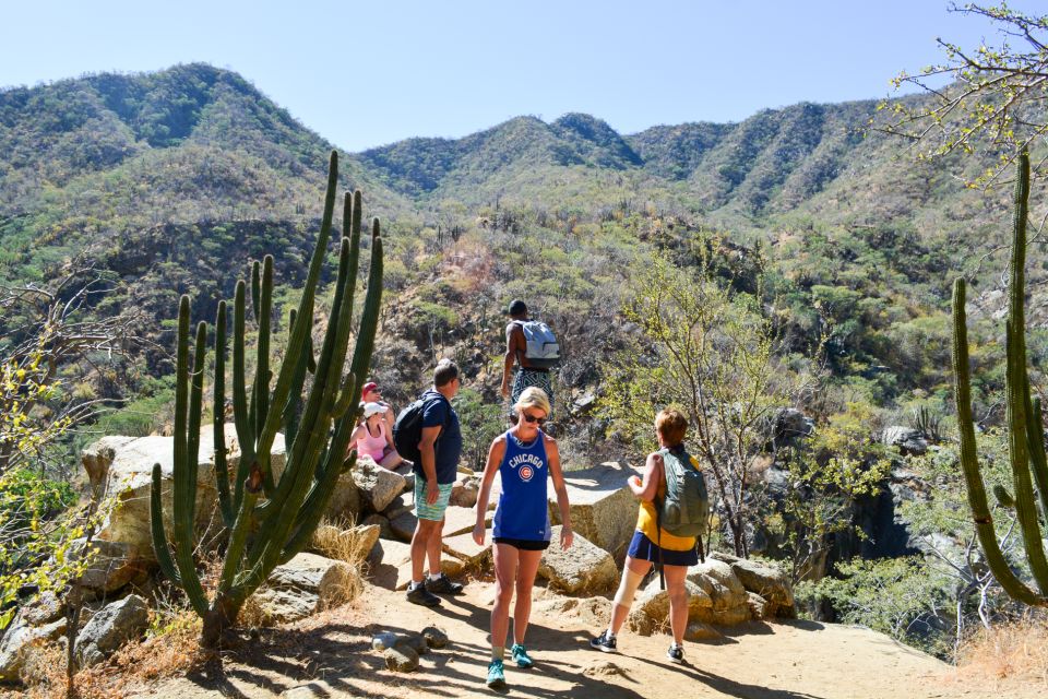 Cabo: Fox Canyon Private Hiking Tour - Pricing and Booking Information