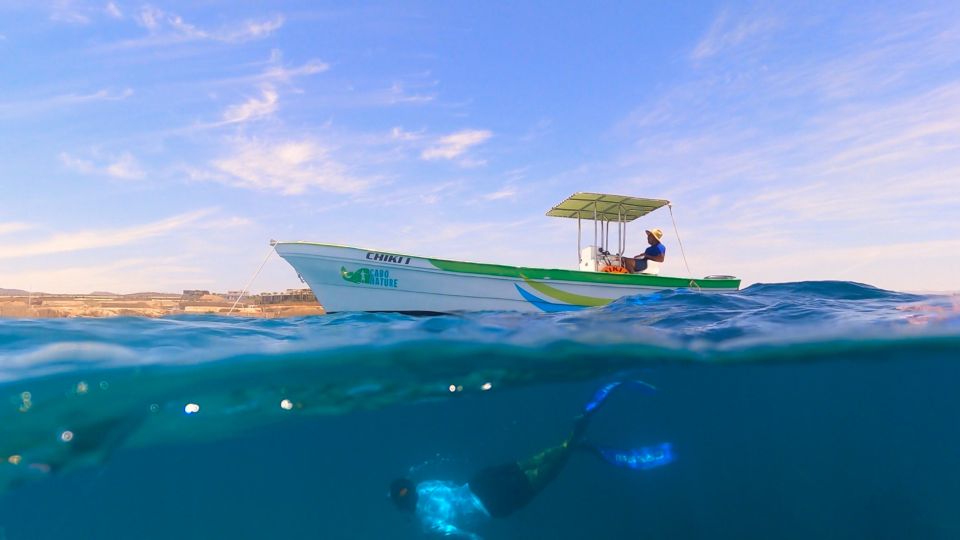 Cabo San Lucas: Boat Ride and Snorkeling Trip With Snacks - Cancellation Policy