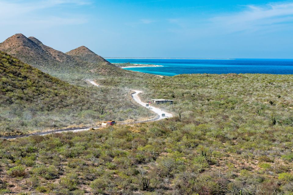 Cabo San Lucas: Cabo Pulmo Snorkeling Expedition - Tour Highlights