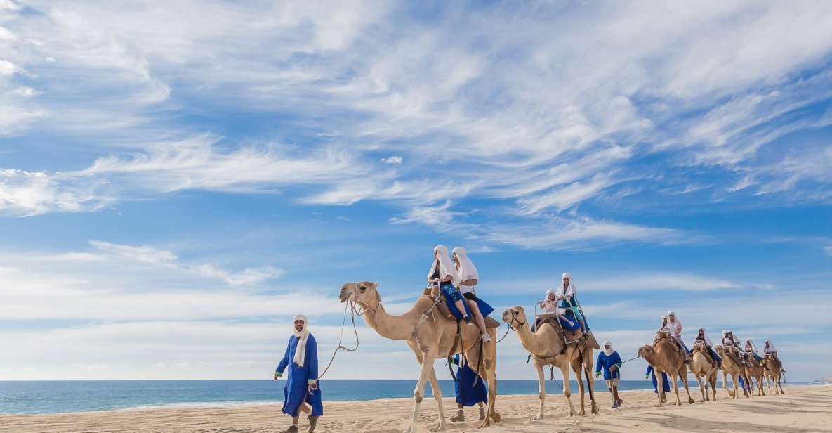 Cabo San Lucas: Camel Safari Tour With Lunch and Tequila - Transportation Information