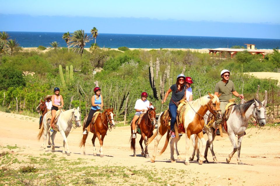 Cabo San Lucas: Horseback Riding Migriño - Last Words