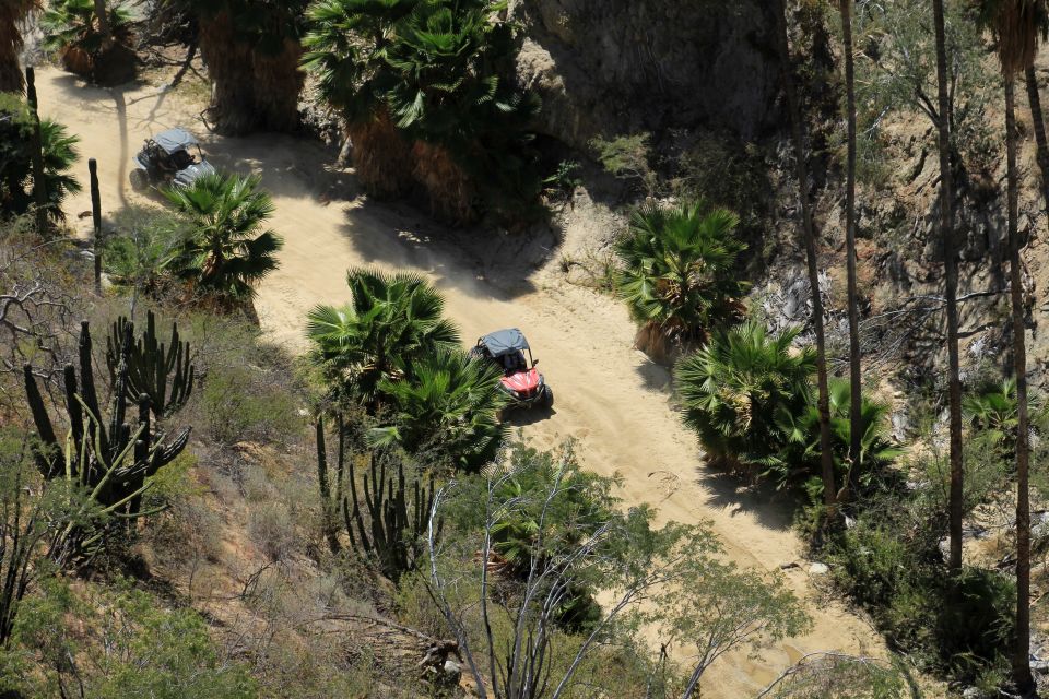 Cabo San Lucas Off-Road UTV Driving Experience - Directions