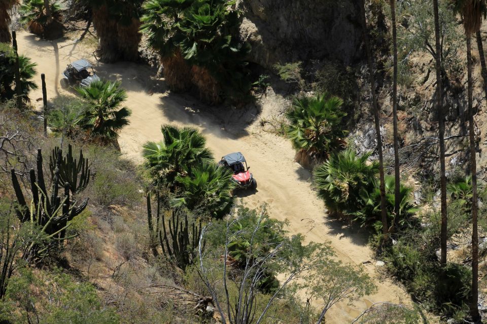 Cabo San Lucas Off-Road UTV Driving Experience