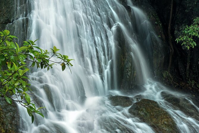 Cairns, Great Barrier Reef & Rainforest 7 Day Tour. - Customer Reviews