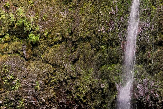 Caldeirão Verde Levadas Walk in Madeira - Must-See Spots Along the Route