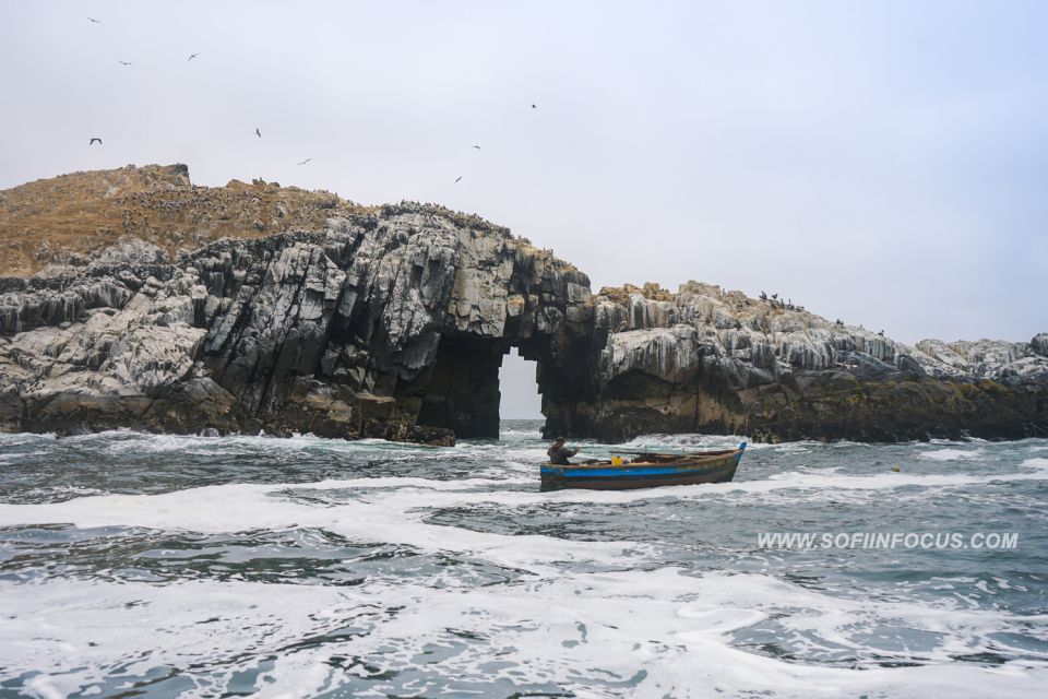 Callao: Swimming With Sea Lions Palomino Islands Boat Tour - Common questions