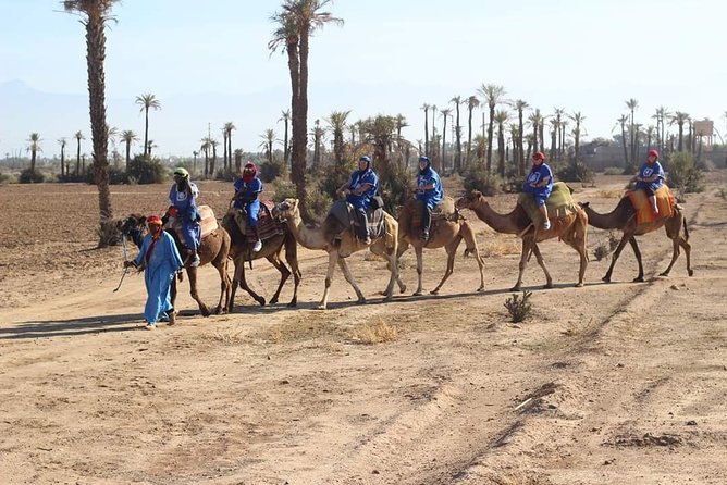 Camel Ride at Sunset From the Palm Grove - Memorable Sunset Memories