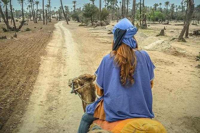 Camel Ride in the Village Berber Palmeraie - Last Words