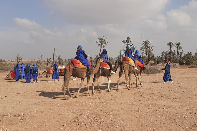 Camel Ride Marrakech Palmeraie - Last Words