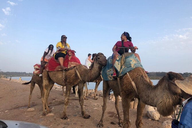 Camel Riding Agadir - Common questions