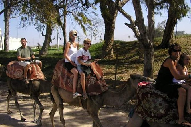 Camel Riding - Health and Safety Considerations