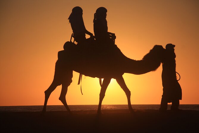 Camel Trek With 1 Night in Luxury Camp With Dinner Sundbording - Last Words