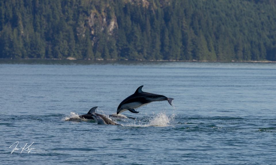Campbell River: Wildlife Tour by Covered Boat - Safety Guidelines and Recommendations