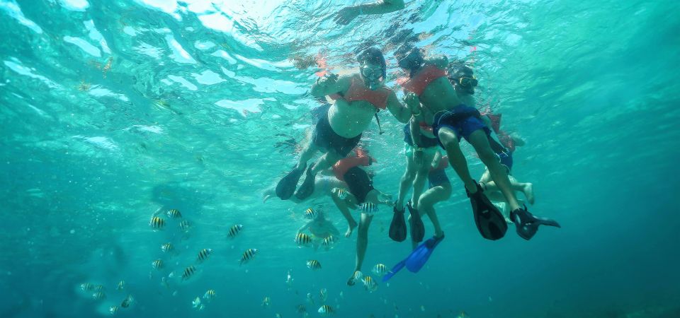 Cancun/Riviera Maya: Isla Mujeres All-Inclusive Snorkel Trip - Common questions