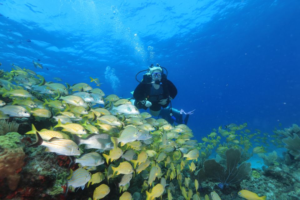 Cancun: Scuba Diving for Beginners, 2 Dives - Post-Dive Reflection