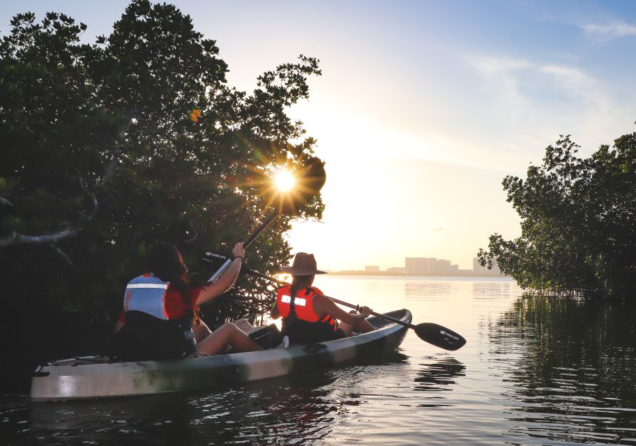 Cancun: Sunset Kayak Experience in the Mangroves - Important Regulations