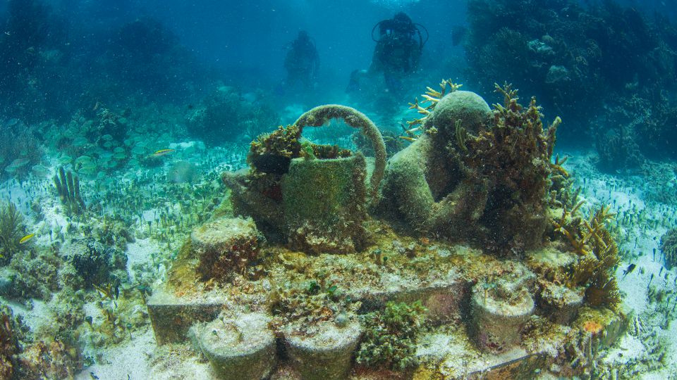 Cancún: Underwater Museum & Reef for Certified Scuba Divers - Live Tour Guide