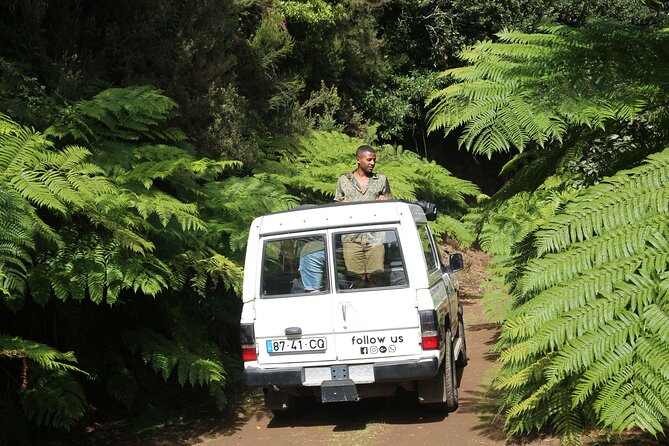 Canico Private Full-Day Choose Your Own Adventure Tour  - Funchal - Weather Considerations