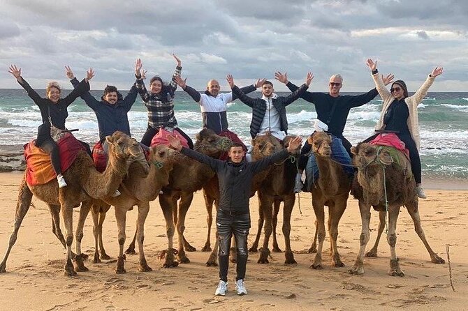 Cap Startel and Camel Ride in Achakkar Beach at Sunset With BBQ - Last Words