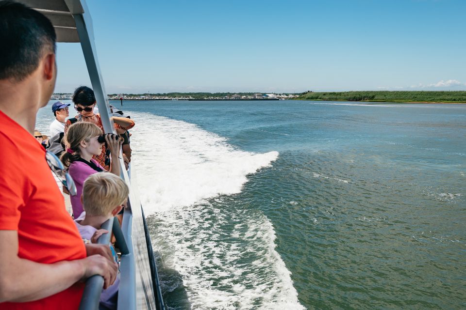 Cape May: Jersey Shore Whale and Dolphin Watching Cruise - Safety Measures