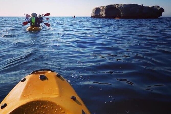 Cape Town: Sea Kayaking Near Penguins Tour - Cancellation Policy