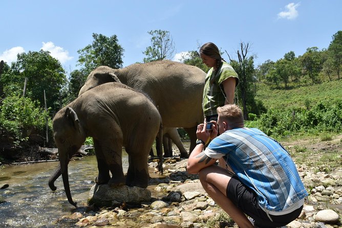 Care Pride Elephants: Full-Day Tour Experience - Tour Logistics and Transportation