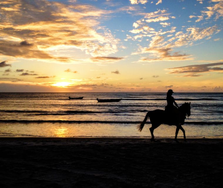 Cartagena: Beach Horseback Riding Tour at Sunset - Last Words