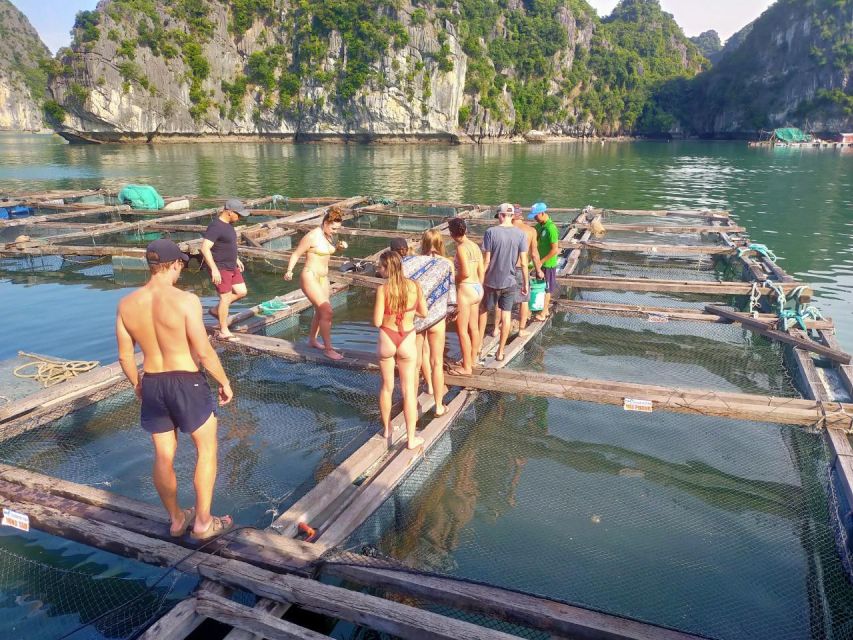 Cat Ba Island: Full-Day Cruise to Lan Ha Bay and Ha Long Bay - Booking Information