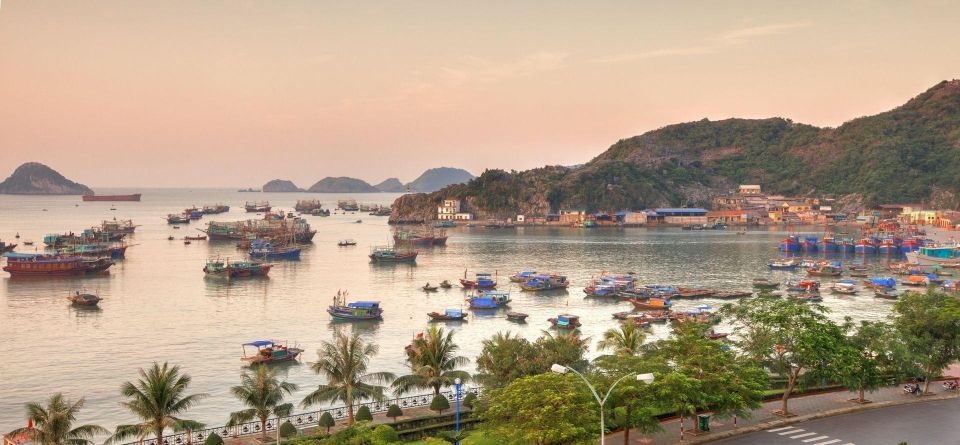 Cat Ba Lan Ha Bay Cruise 2 Days 1 Night: Kayak, Swim,Biking - Location Details