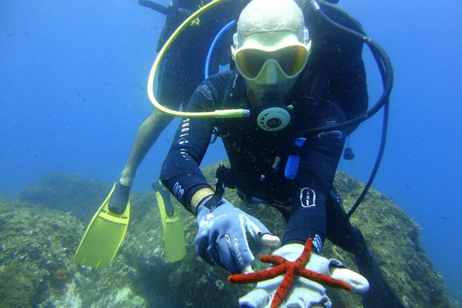 Catania: Scuba Diving Experience - Activity End Location