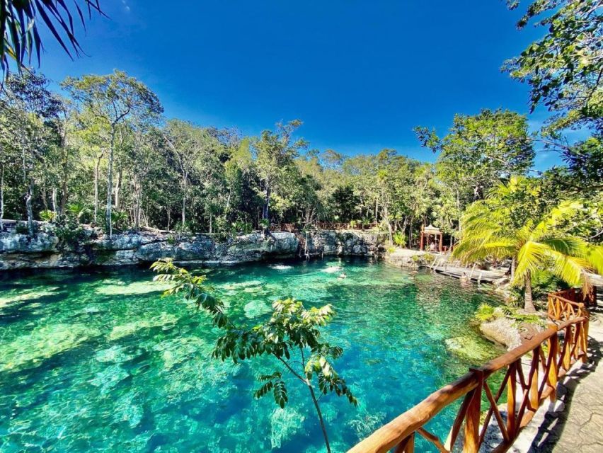 Cenotes Casa Tortuga Tulum: National Park Guided Tour - Customer Reviews and Recommendations