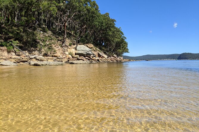 CENTRAL COAST PRIVATE TOUR Waterfalls, Beach Lookouts, Aboriginal Rock Art - Tour Popularity