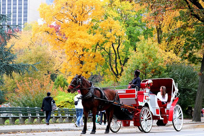 Central Park Horse Carriage Ride Short Loop (Up to 4 Adults)) - Last Words
