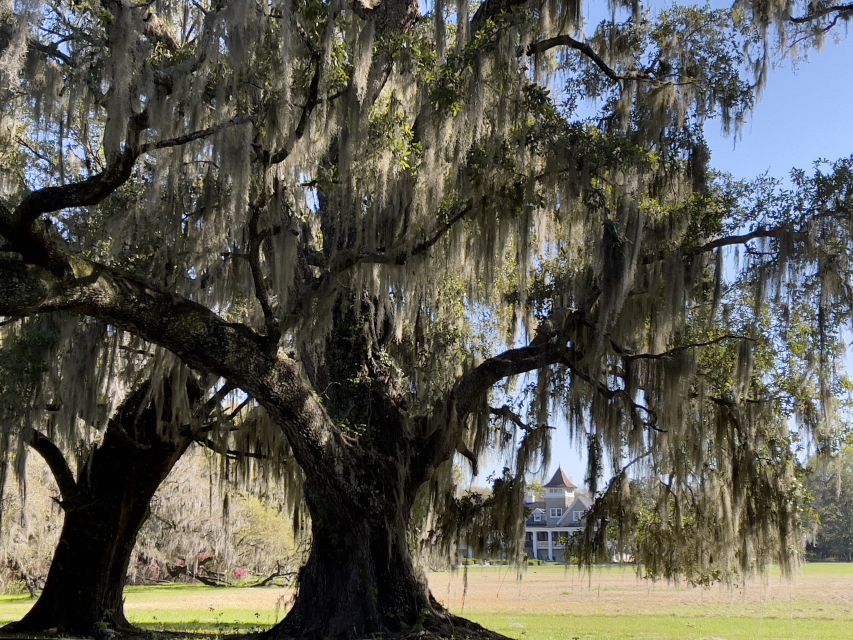 Charleston: The Complete Lowcountry Tour. Get Out of Town! - Directions