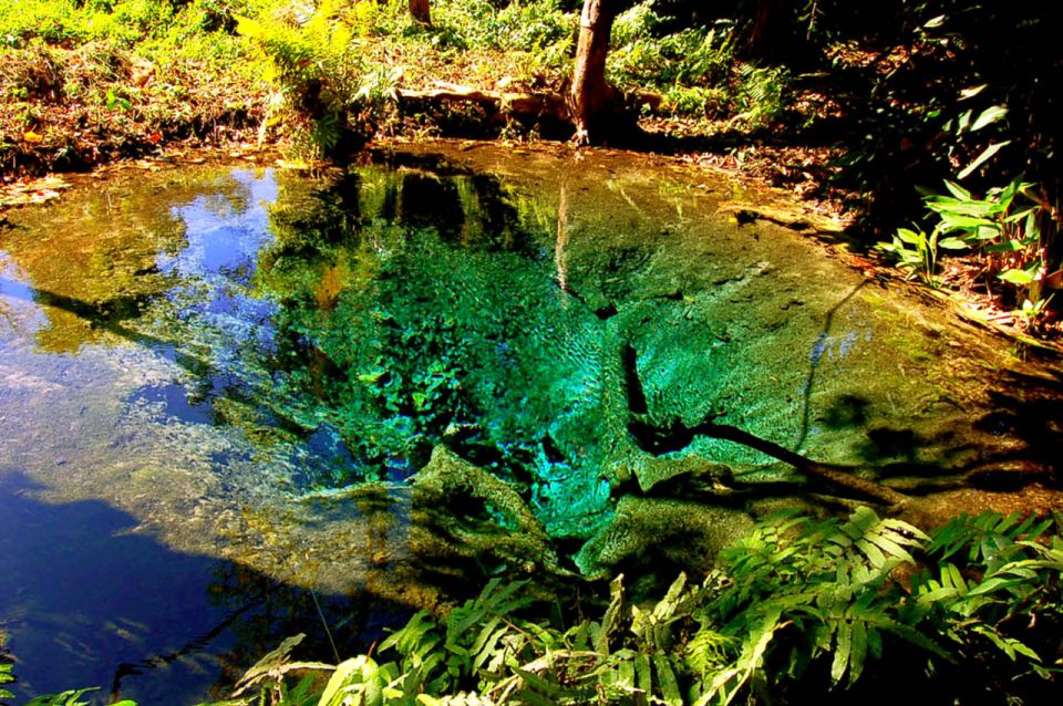 Chiang Mai: Chiang Dao Cave, Sticky Waterfall With Longneck - Chiang Dao Cave