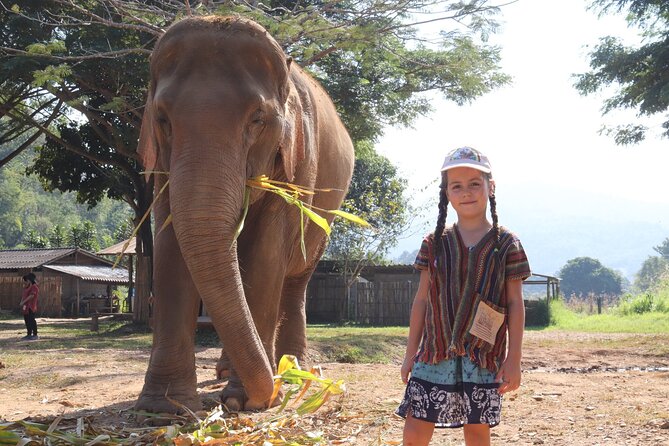 Chiang Mai Elephant Sanctuary Small Group Ethical Tour - Last Words