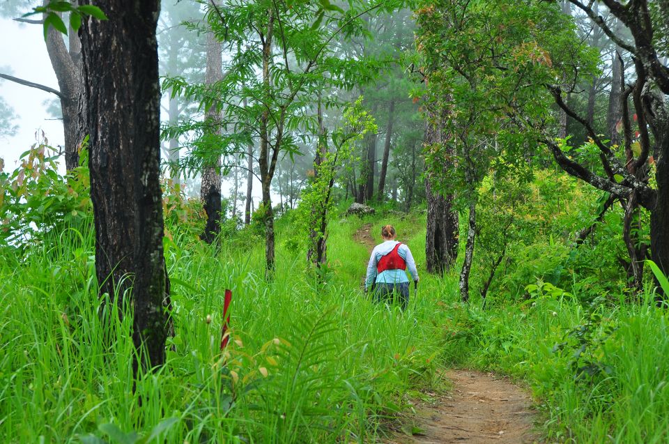 Chiang Mai: Full-Day Hiking Tour by Trailhead - Common questions